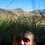 anthillsocial
